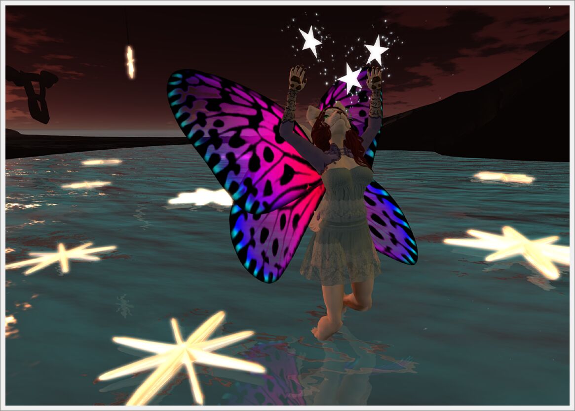 Tims Dreams_13